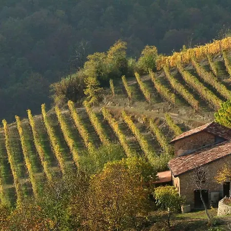 Dom wakacyjny Con Piscina E Intera A Uso Esclusivo Casa Del La Morra
