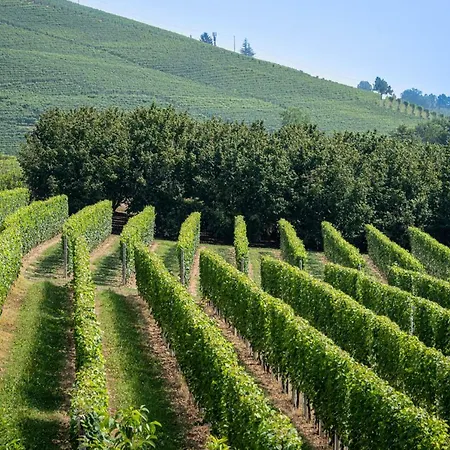 Con Piscina E Intera A Uso Esclusivo Casa Del Σπίτι διακοπών