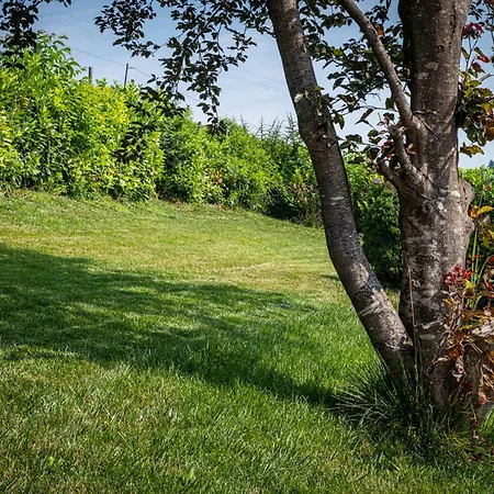 Con Piscina E Intera A Uso Esclusivo Casa Del La Morra
